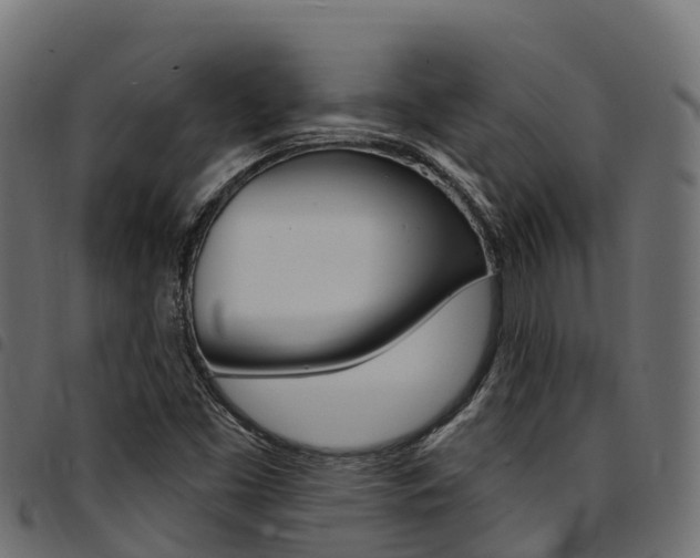 X0000094961453200711291117