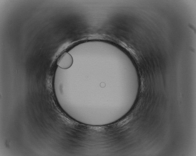 X0000094961454200711291117