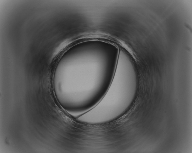 X0000094961456200711291117