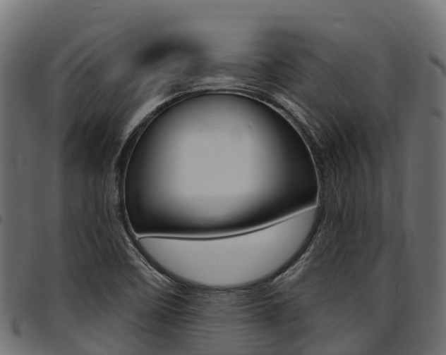 X0000094961458200711291117