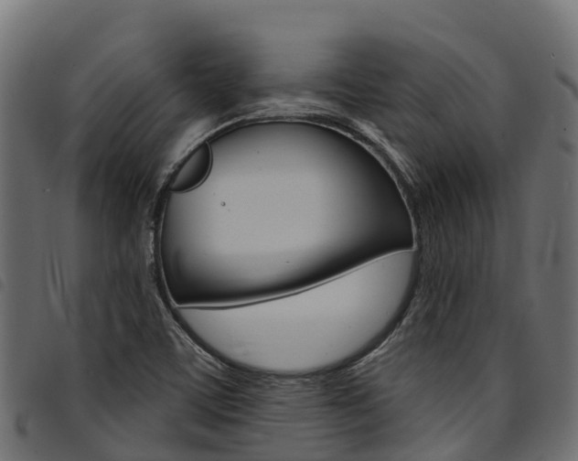X0000094961459200711291117