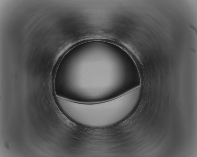X0000094961460200711291117