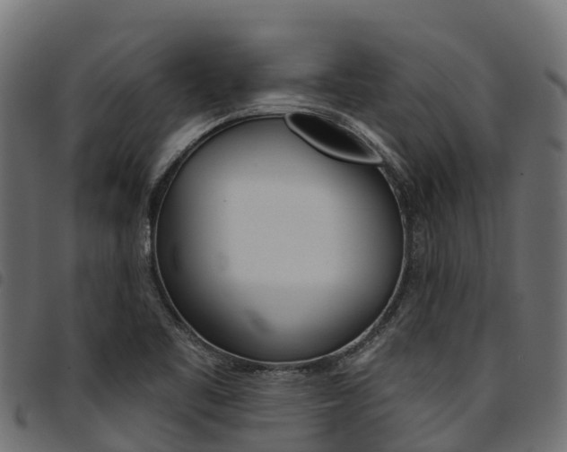 X0000094961461200711291117
