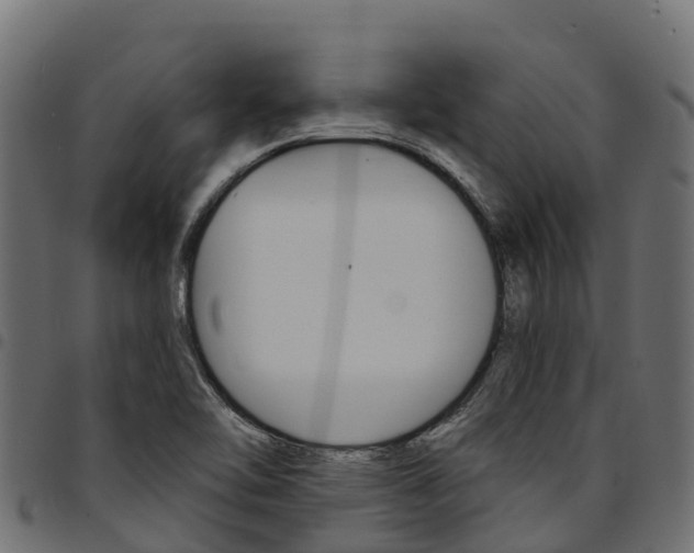 X0000094961462200711291117