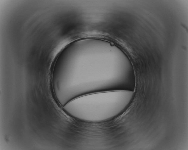 X0000094961463200711291117
