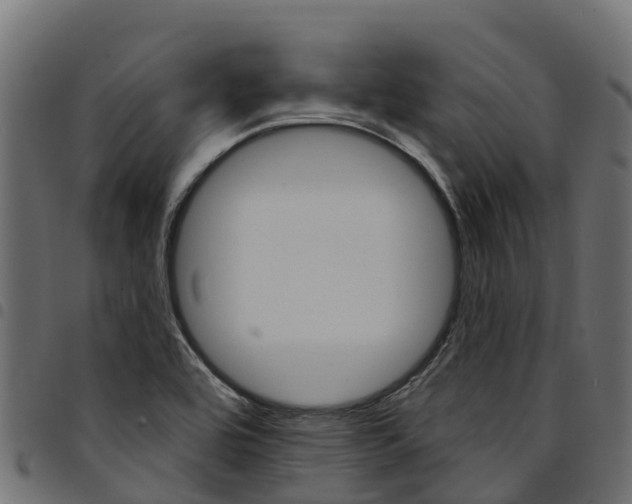 X0000094961464200711291117