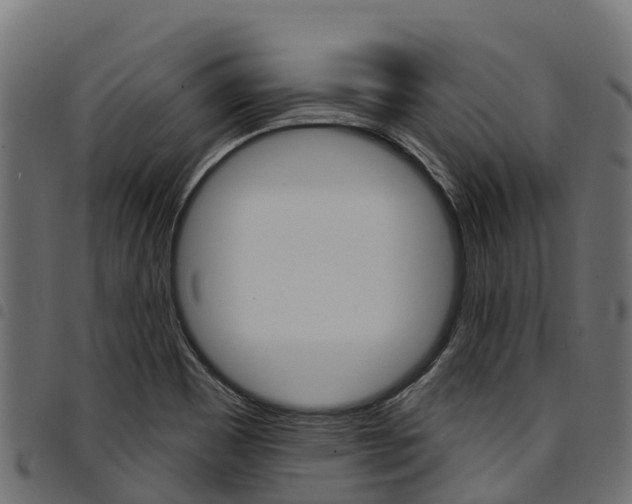 X0000094961465200711291117