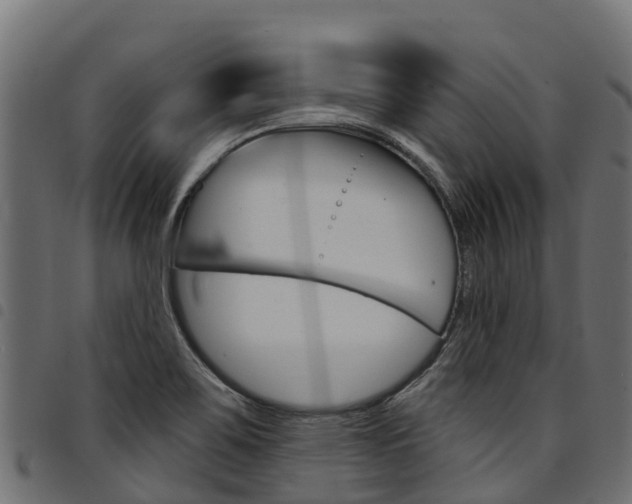 X0000094961467200711291117
