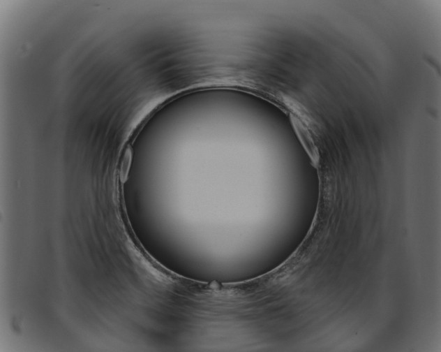 X0000094961468200711291117