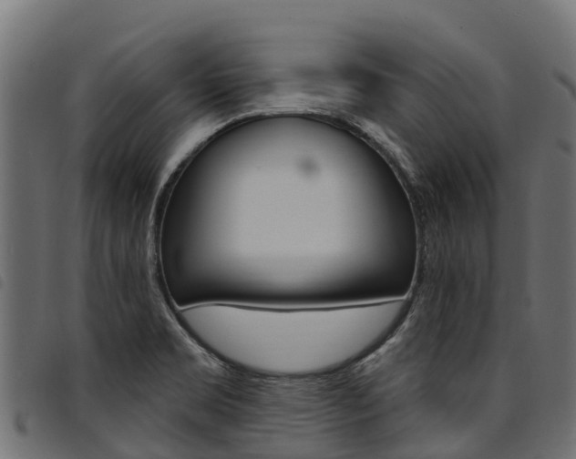 X0000094961469200711291117