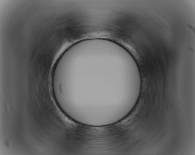X0000094961470200711291117