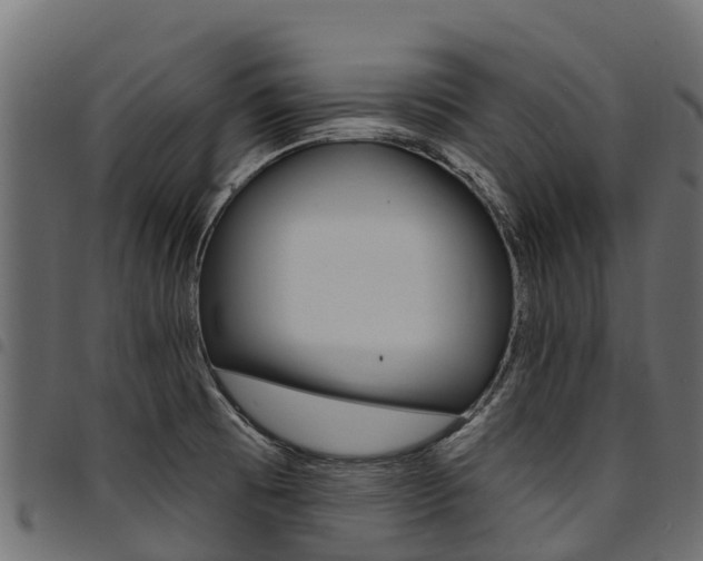 X0000094961473200711291117