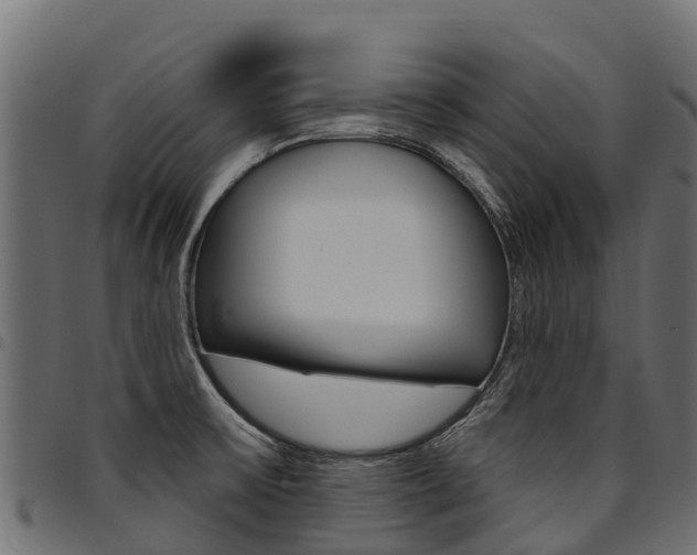 X0000094961475200711291117