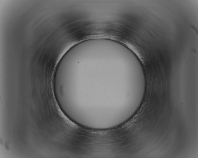 X0000094961476200711291117