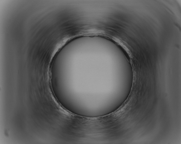 X0000094961477200711291116