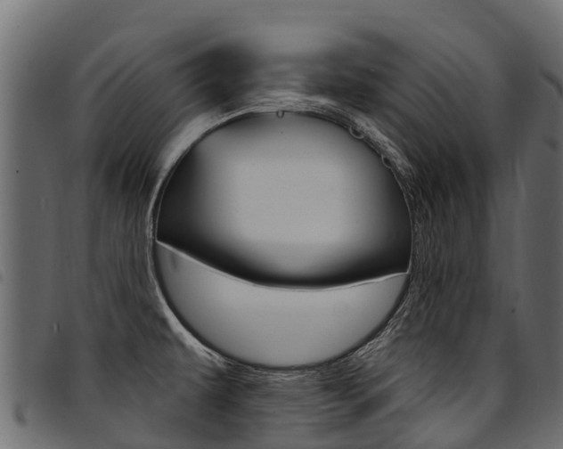 X0000094961479200711291116