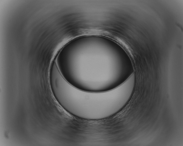 X0000094961480200711291116