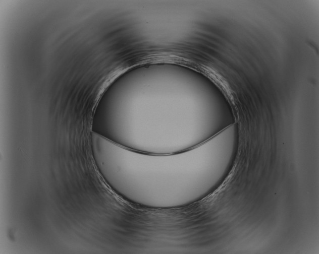 X0000094961481200711291116