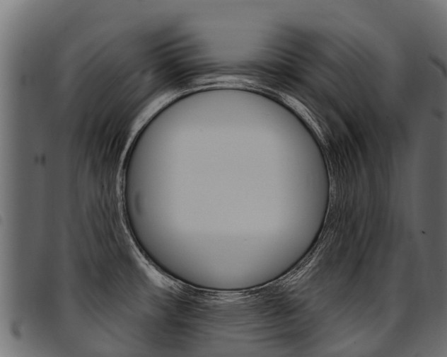 X0000094961482200711291116