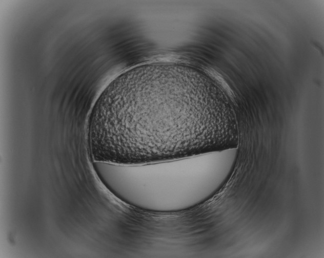 X0000094961483200711291116