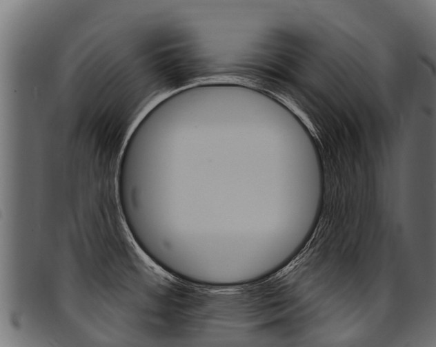 X0000094961484200711291116