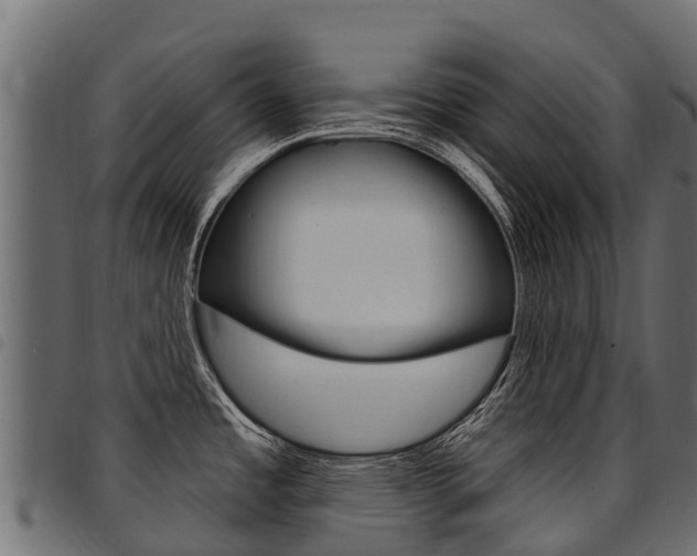 X0000094961485200711291116