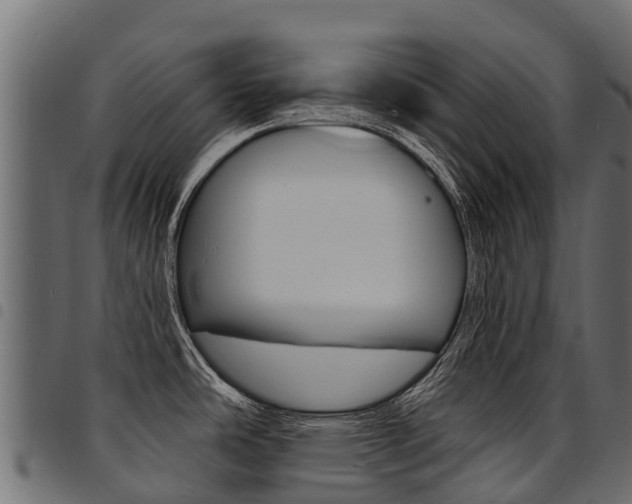 X0000094961486200711291116