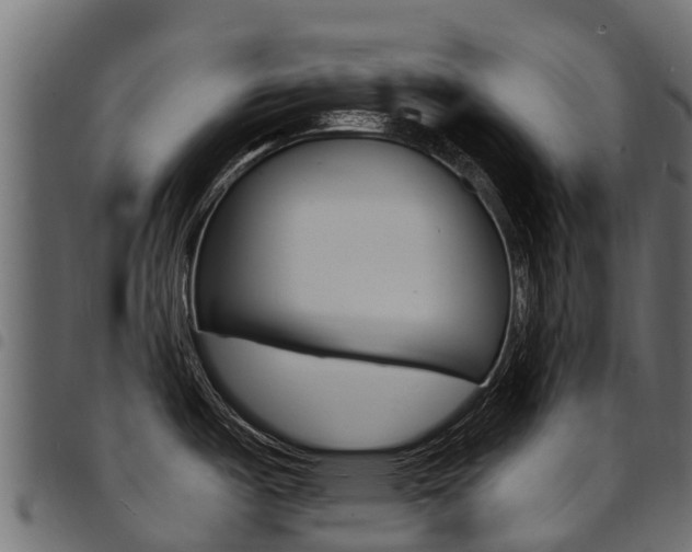 X0000094961487200711291116