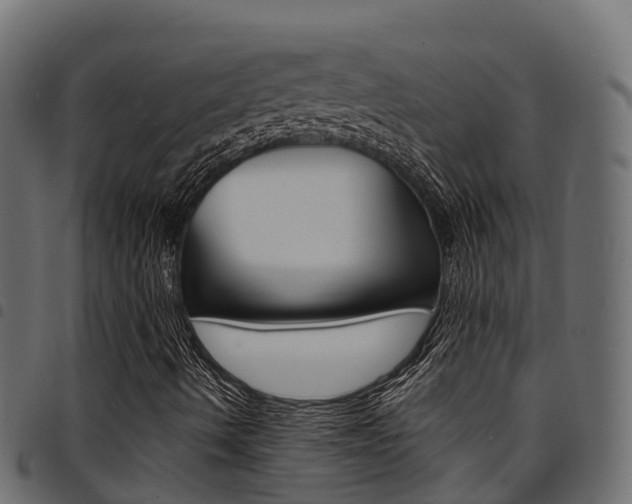 X0000094961490200711291116