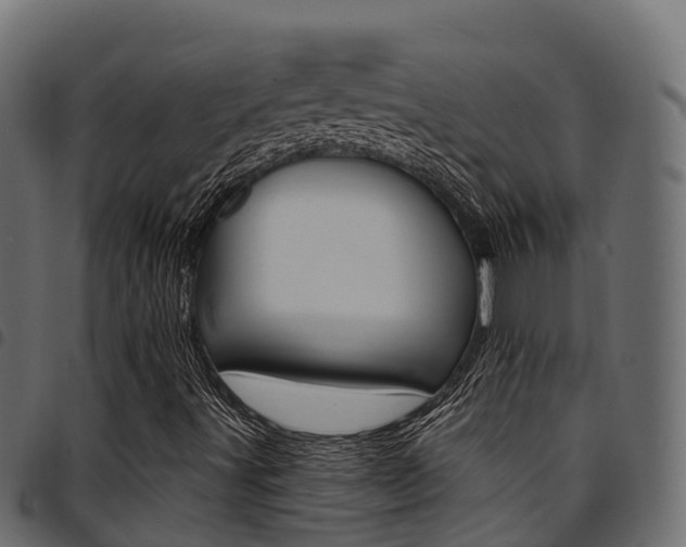 X0000094961491200711291116