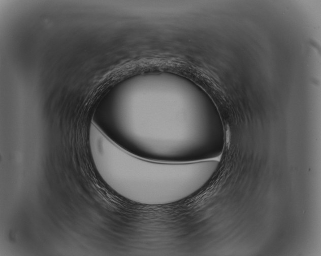 X0000094961492200711291116