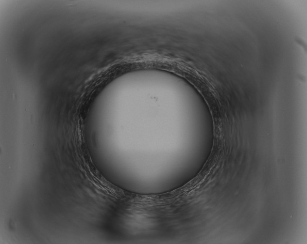 X0000094961493200711291116