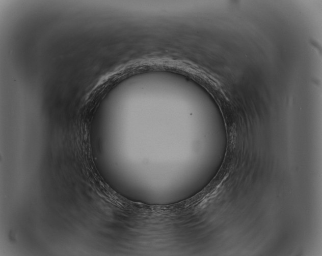 X0000094961494200711291116