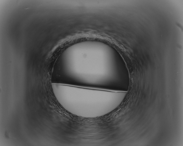 X0000094961495200711291116