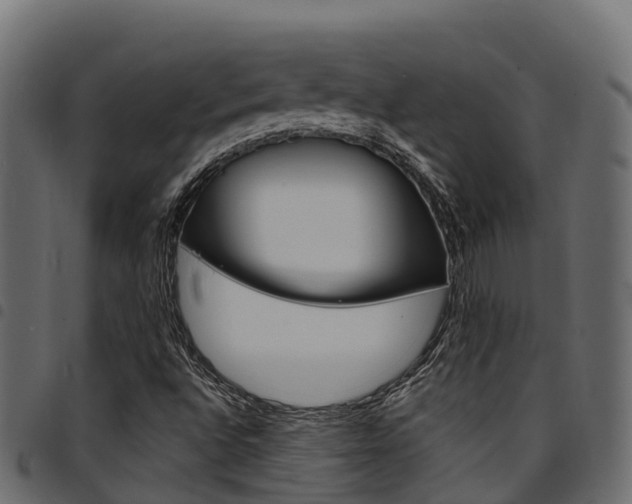 X0000094961496200711291116