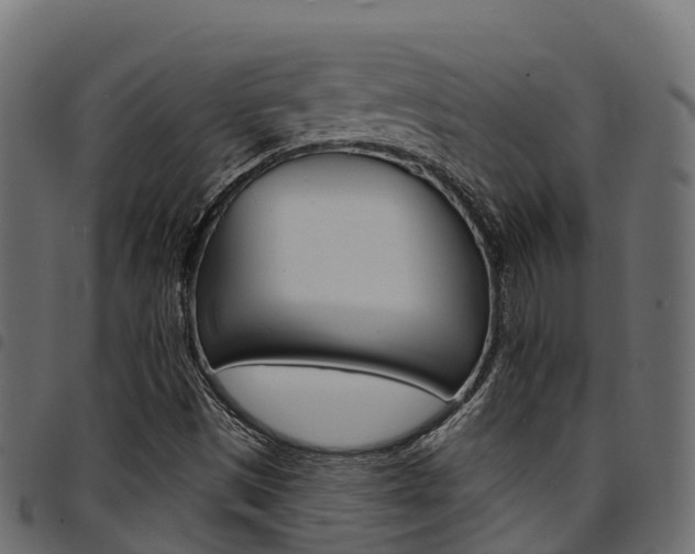X0000094961497200711291116