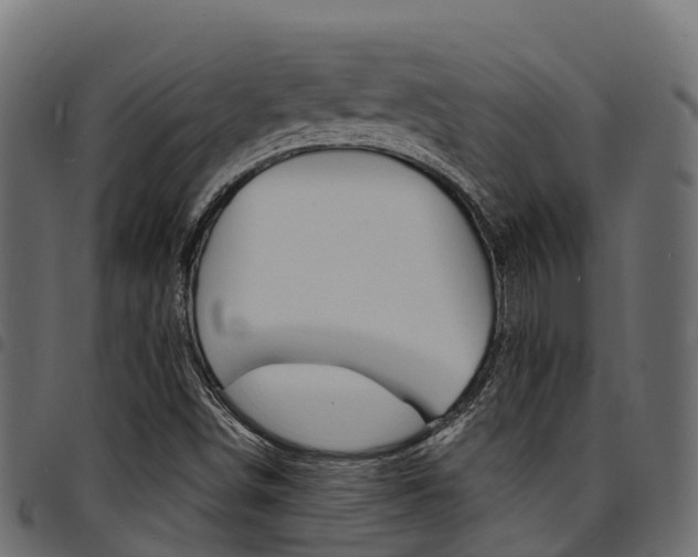 X0000094961498200711291116