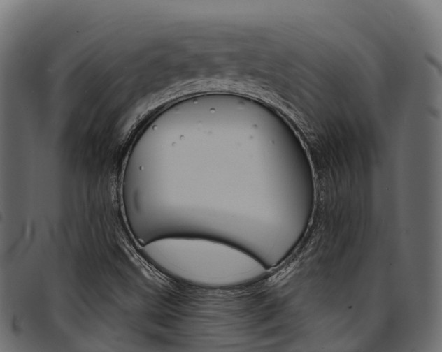 X0000094961499200711291116