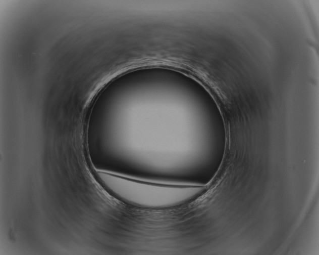 X0000094961500200711291116