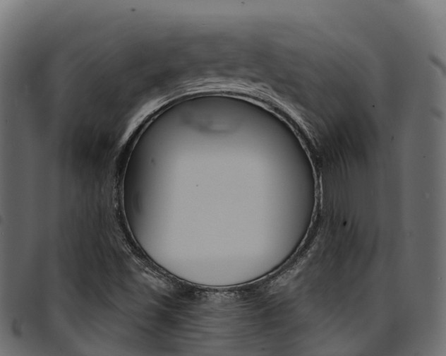 X0000094961501200711291116