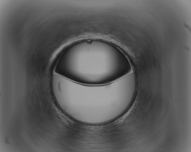 X0000094961502200711291116