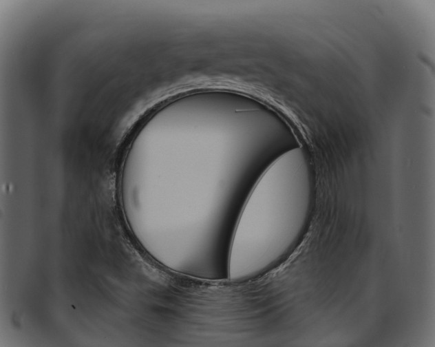 X0000094961503200711291116