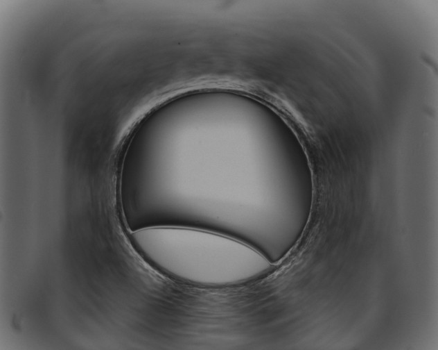 X0000094961504200711291116