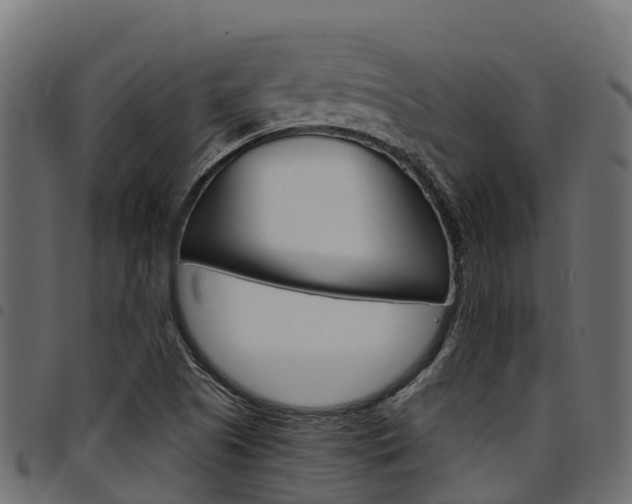 X0000094961505200711291116