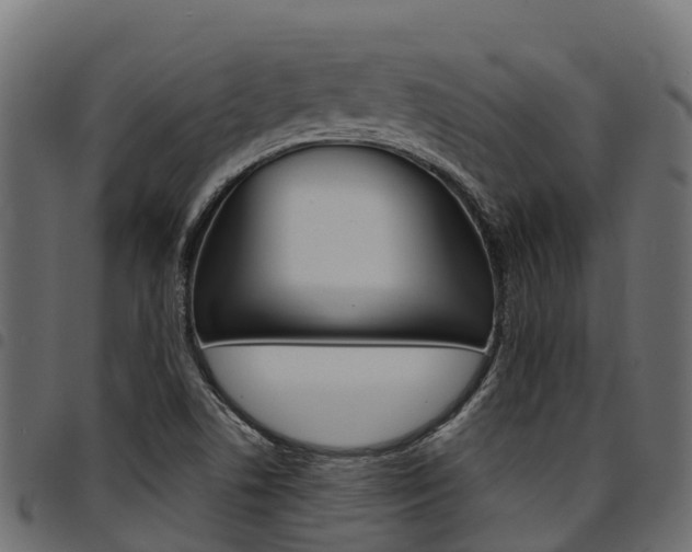X0000094961506200711291116