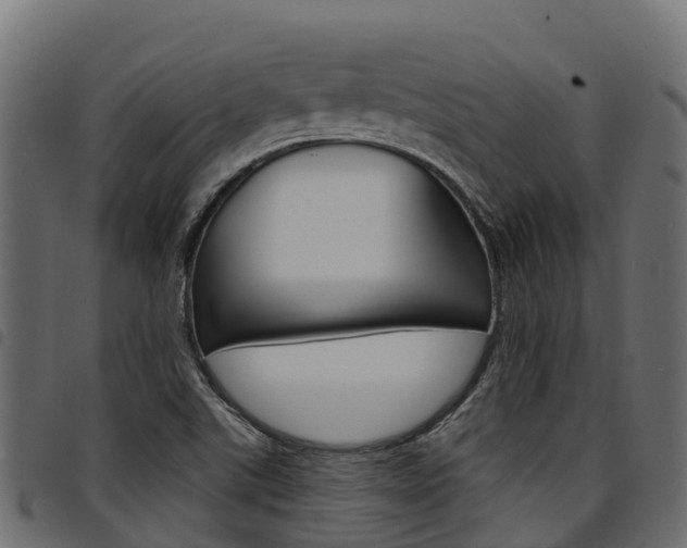 X0000094961507200711291116