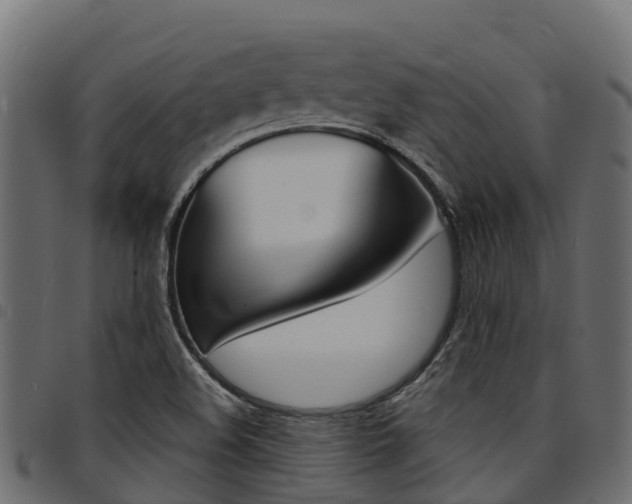 X0000094961508200711291116