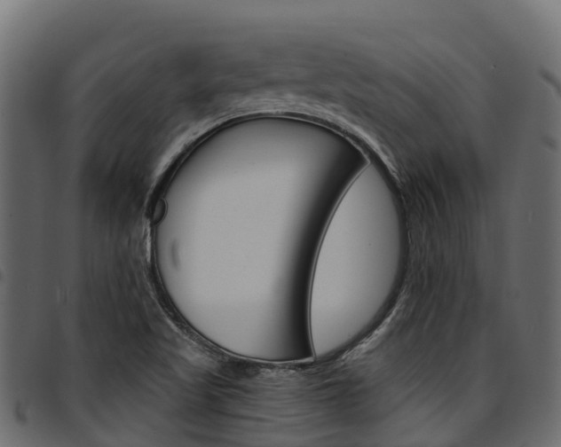 X0000094961509200711291116