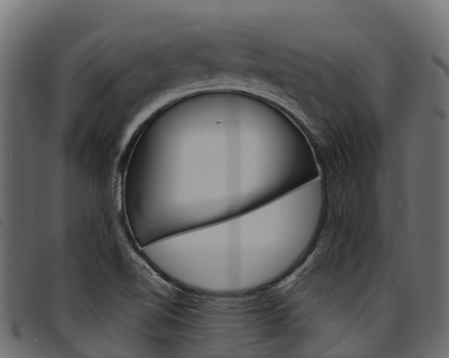 X0000094961510200711291116