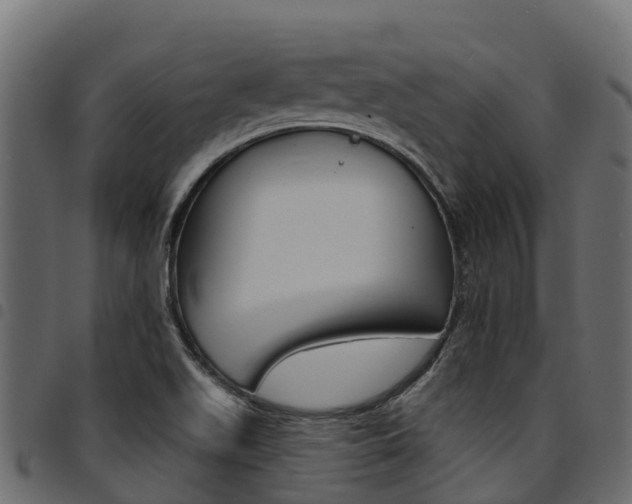 X0000094961511200711291116